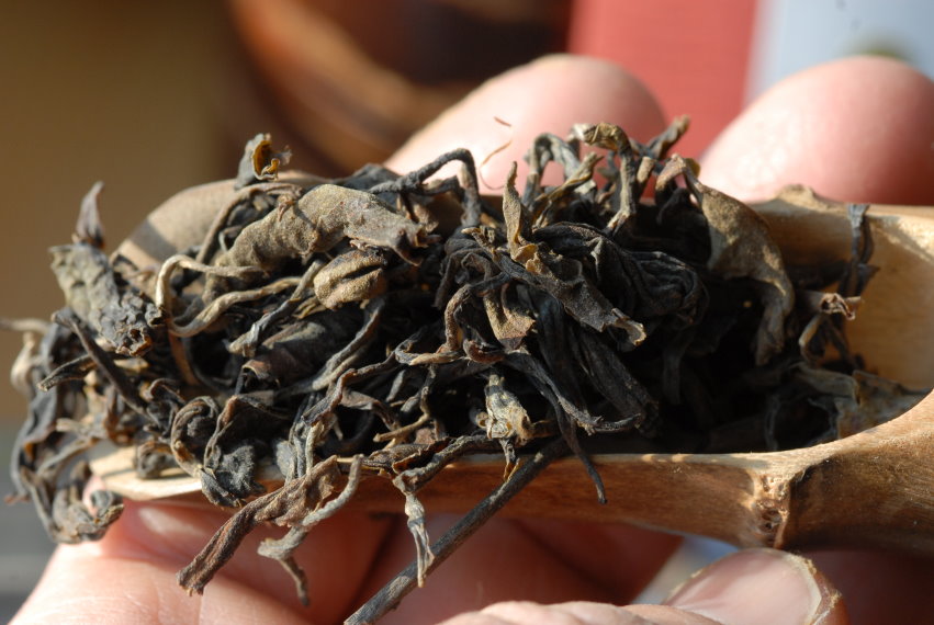 Gu Shu puerh tea